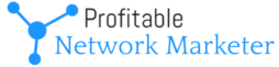 Profitable Network Marketer